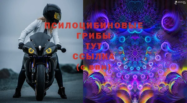 соль ск Пролетарск