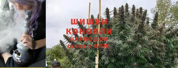трава Алзамай