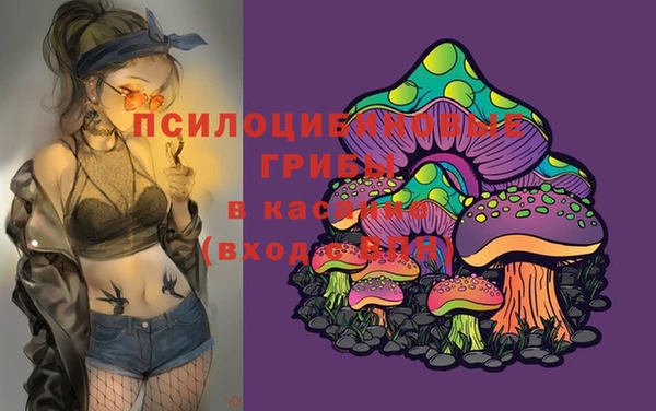 ECSTASY Протвино