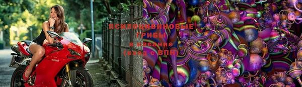 скорость Алексеевка