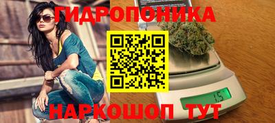 дурь Будённовск