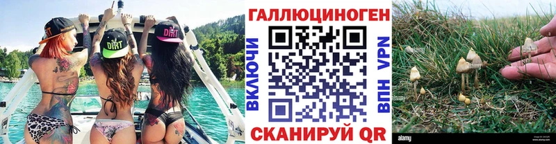 Псилоцибиновые грибы Cubensis  Гуково 