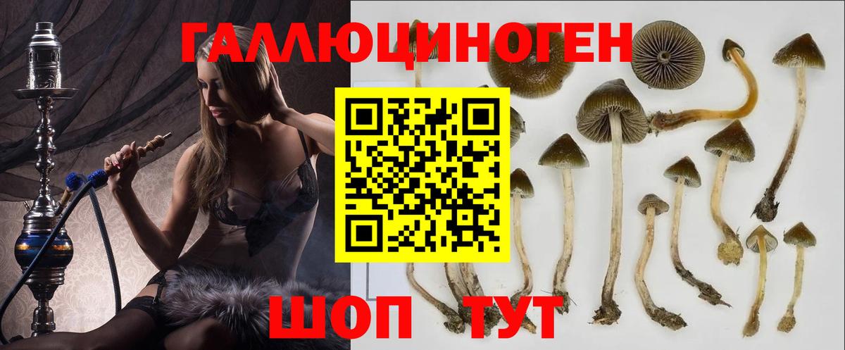 Экстази  Каннабис  НБОМе  ГАШИШ  Гуково  МЕФ   Конопля  Вход с VPN 