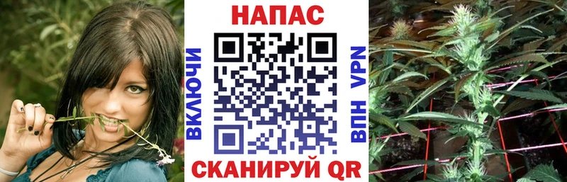 Конопля индика  blacksprut tor  Гуково  купить наркоту 